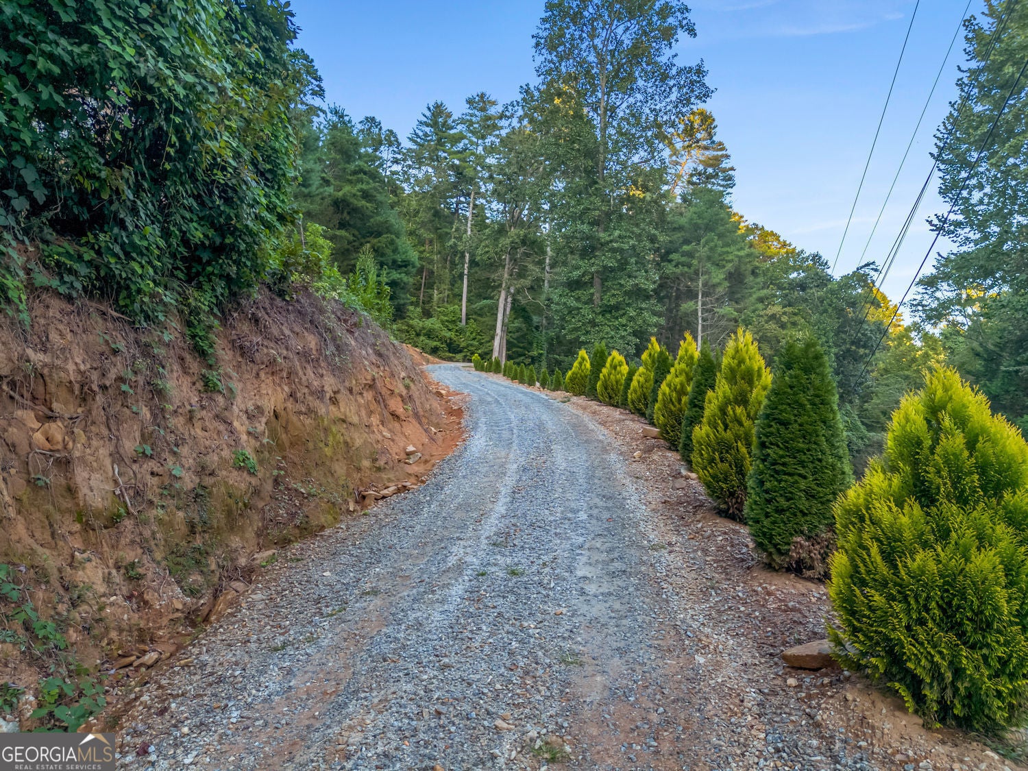 Clayton, Georgia, 30525, United States, ,Land,For Sale,1952018