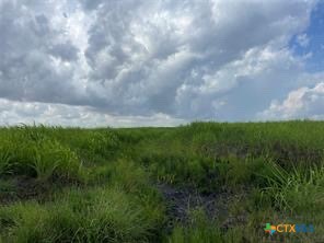 0 Hwy 87, Port Lavaca, Texas, 77979, United States, ,Land,For Sale,0 Hwy 87,1679215