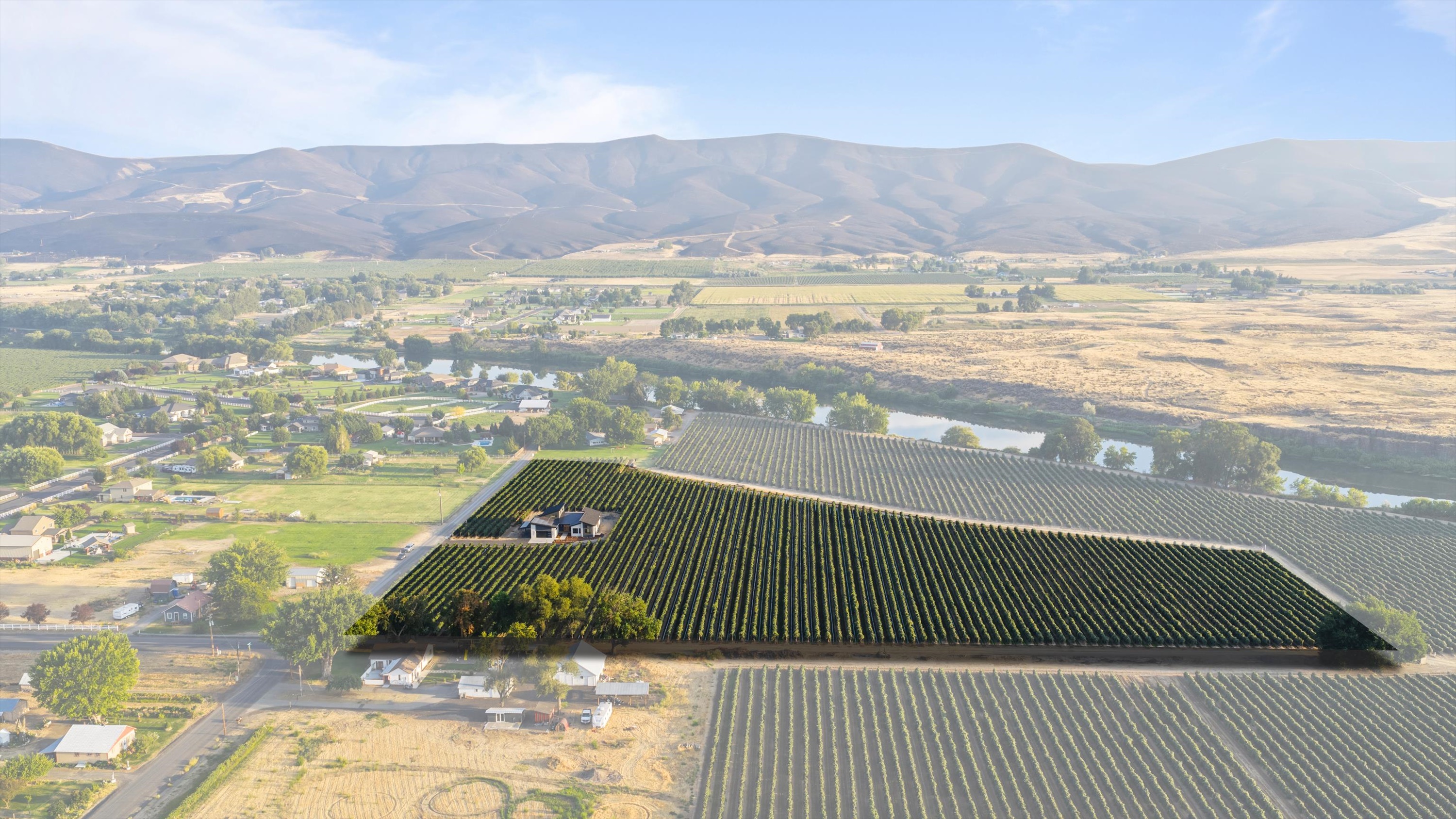  1036 Lower County Line Road, Prosser, WA 99350 - 物件實景