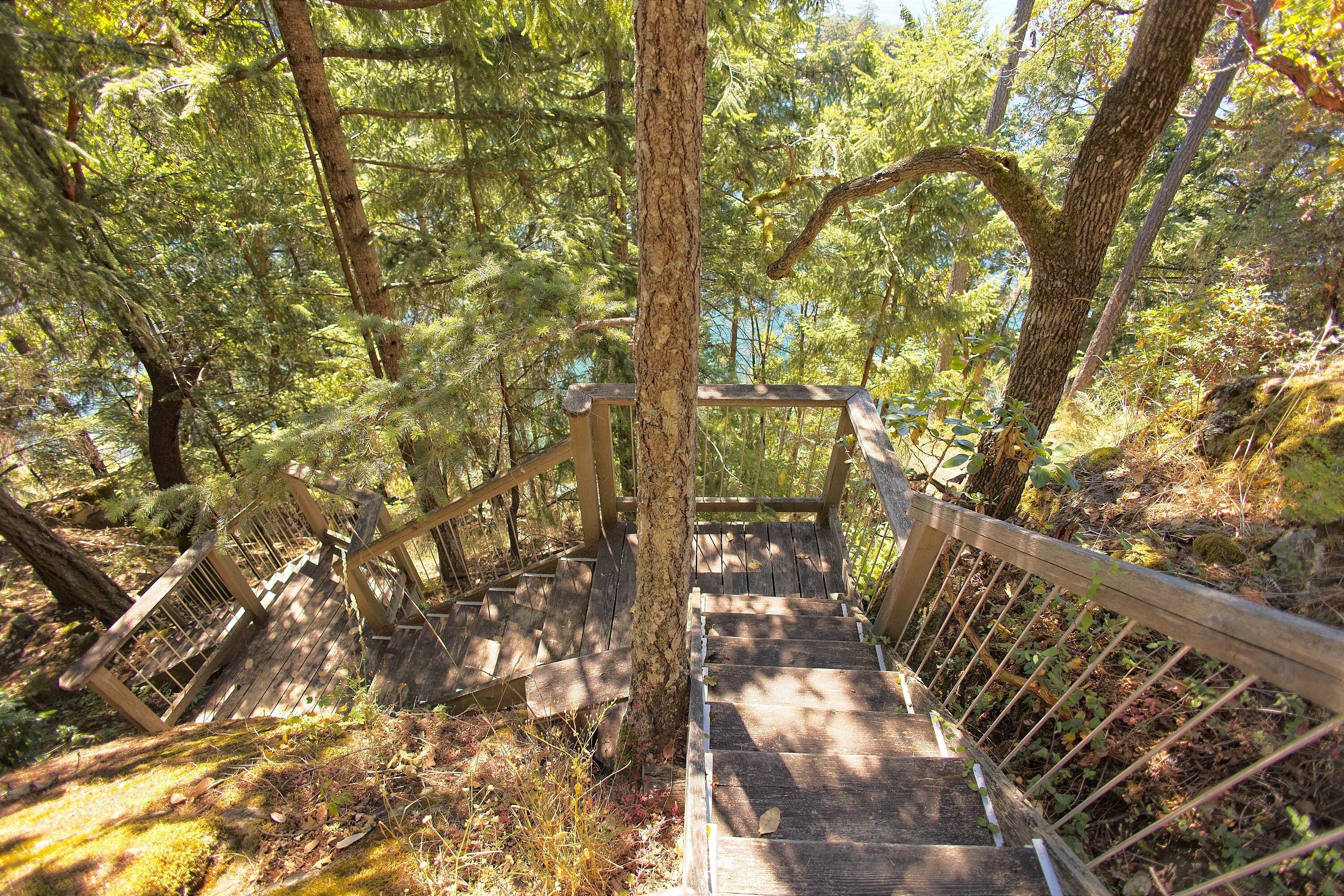  Firefly Cottage - 物件實景