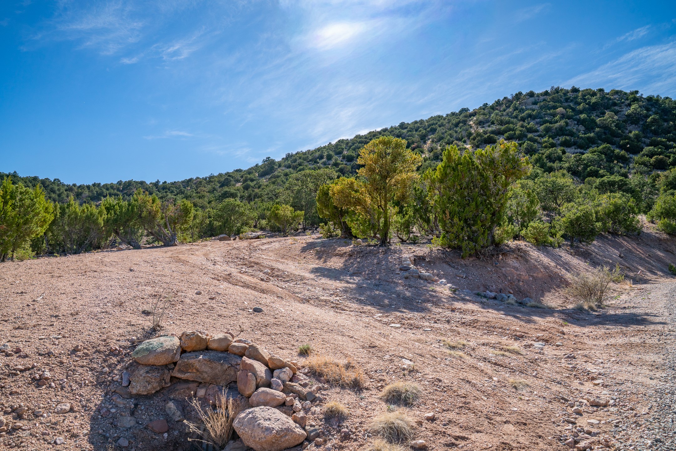  5.9 Acre Lot Camino Del Canon - 物件實景