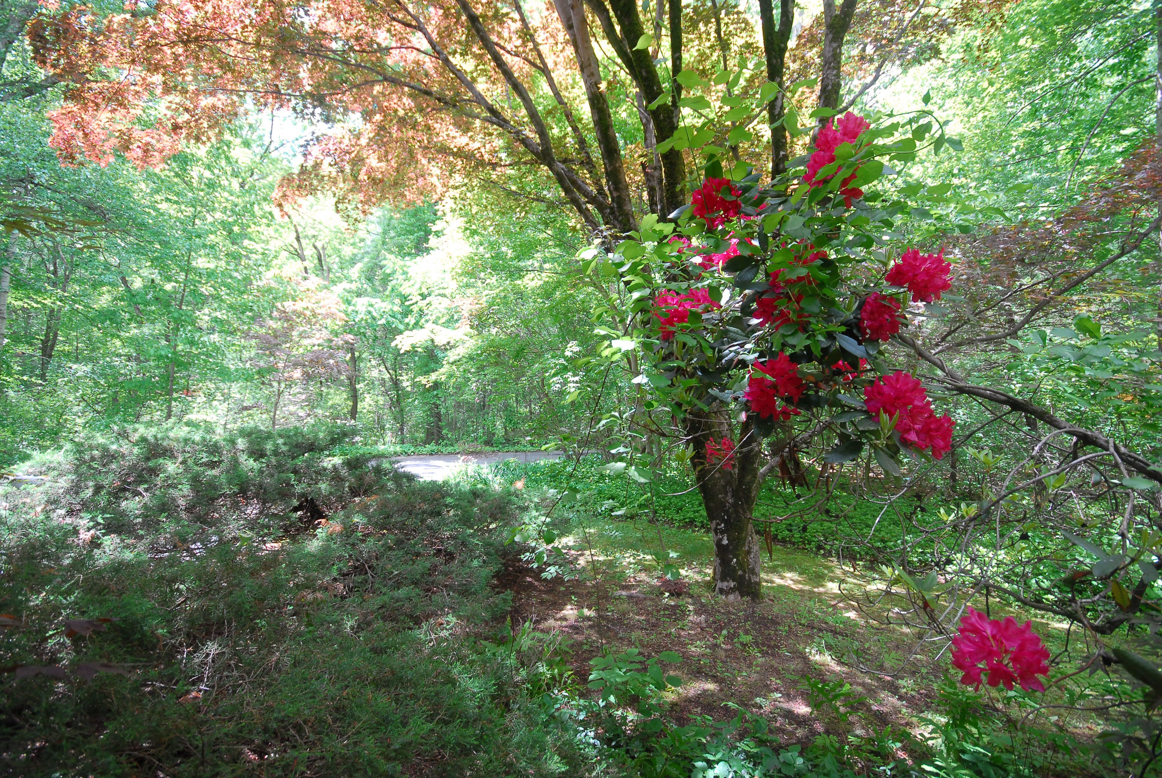  131 Nowell Farme Road, Carlisle, MA 01741 - 物件實景