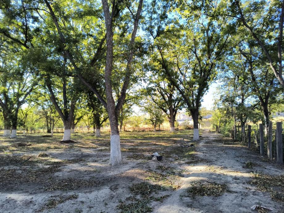 Parras, Coahuila de Zaragoza, 27987, Mexico, 1 Bedroom Bedrooms, ,Residential,For Sale,1695187