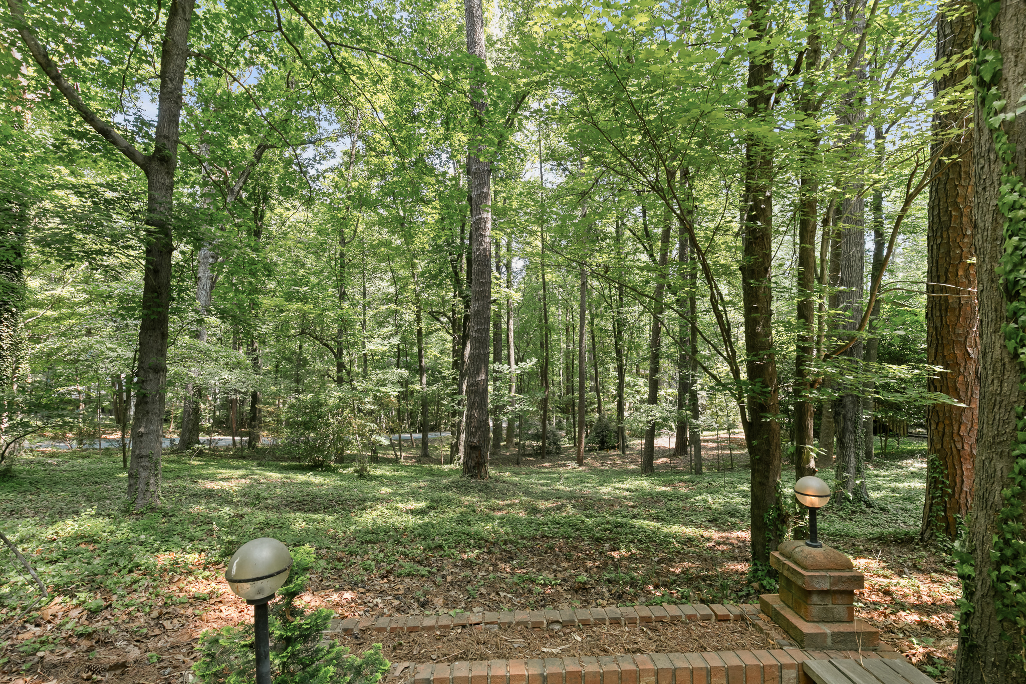  1429 Arboretum Drive, Chapel Hill, NC 27517 - 物件實景
