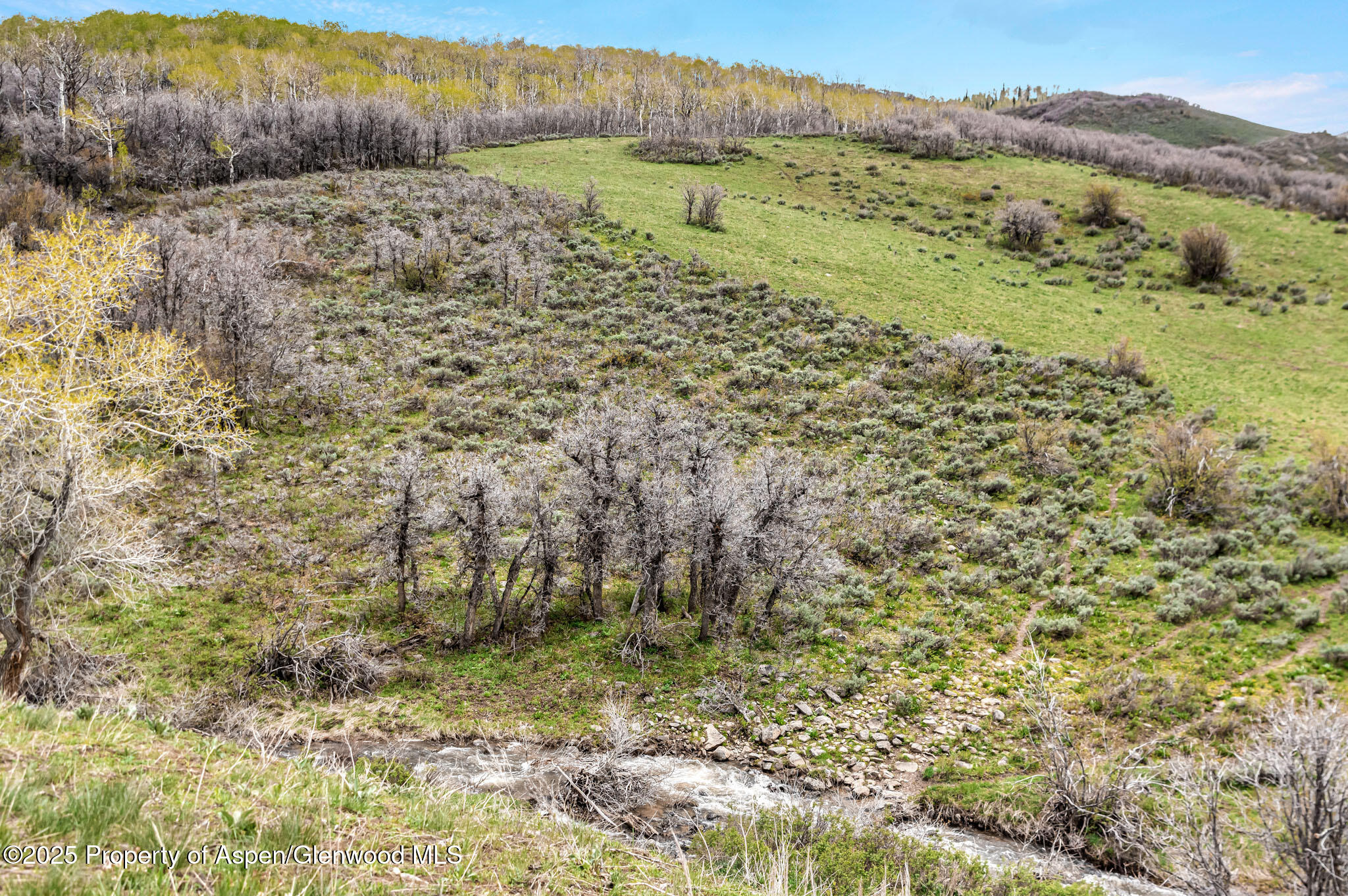 Hayden, Colorado, 81639, United States, ,Residential,For Sale,1901288