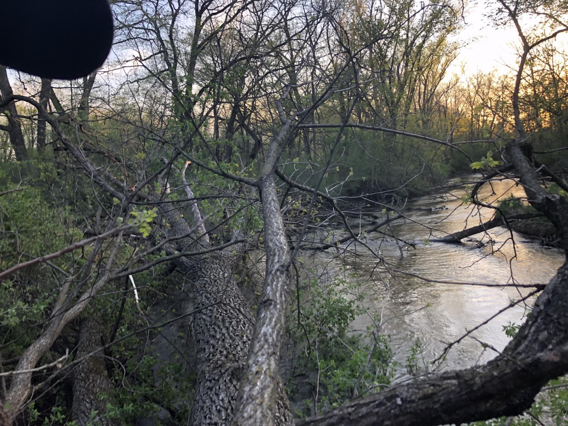 Rochester, Minnesota, 55904, United States, 4 Bedrooms Bedrooms, ,3 BathroomsBathrooms,Residential,For Sale,2003115