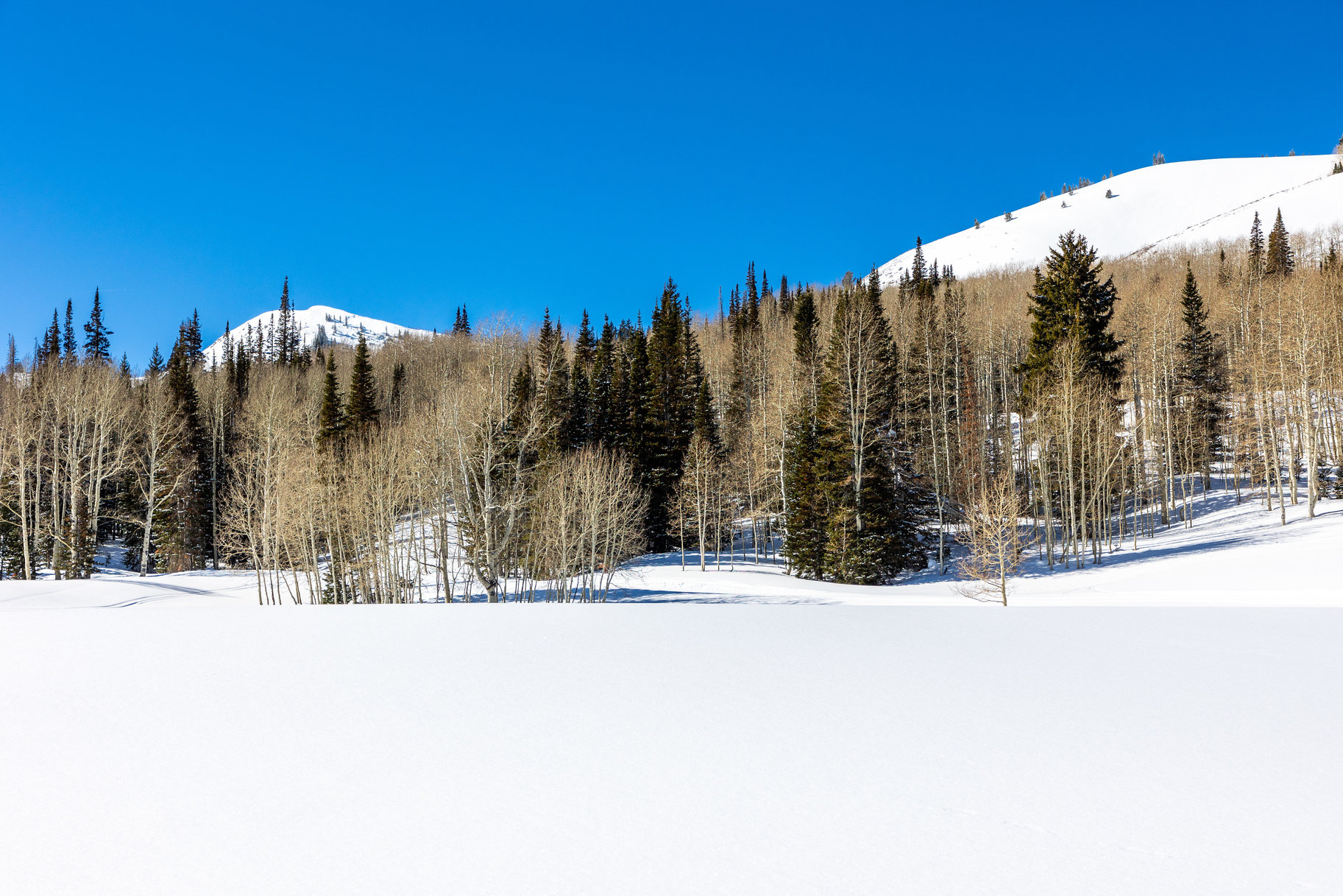  Incredible 28 Acre Estate Lot in the Colony at White Pine Canyon - 物件實景