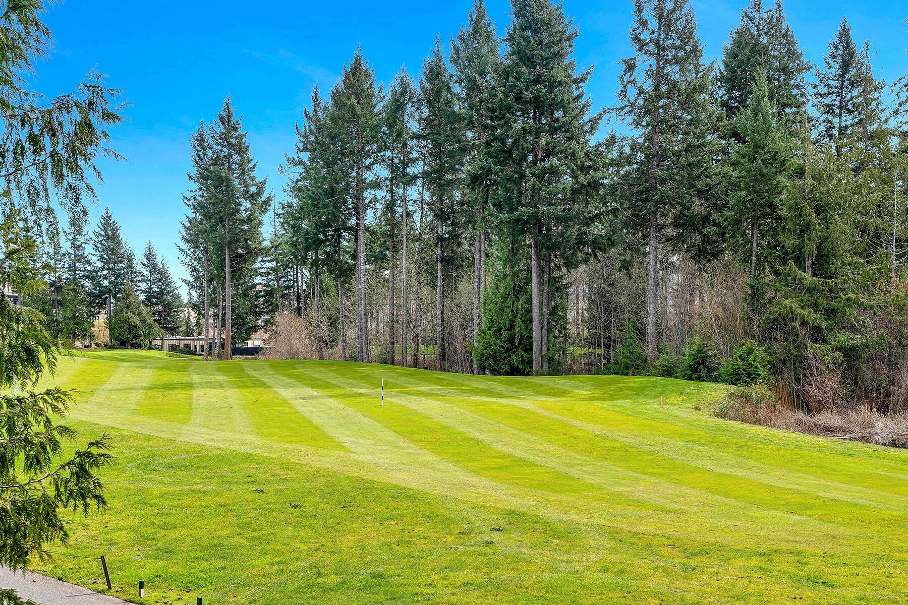  Stunning Bear Mountain Condo - 物件實景