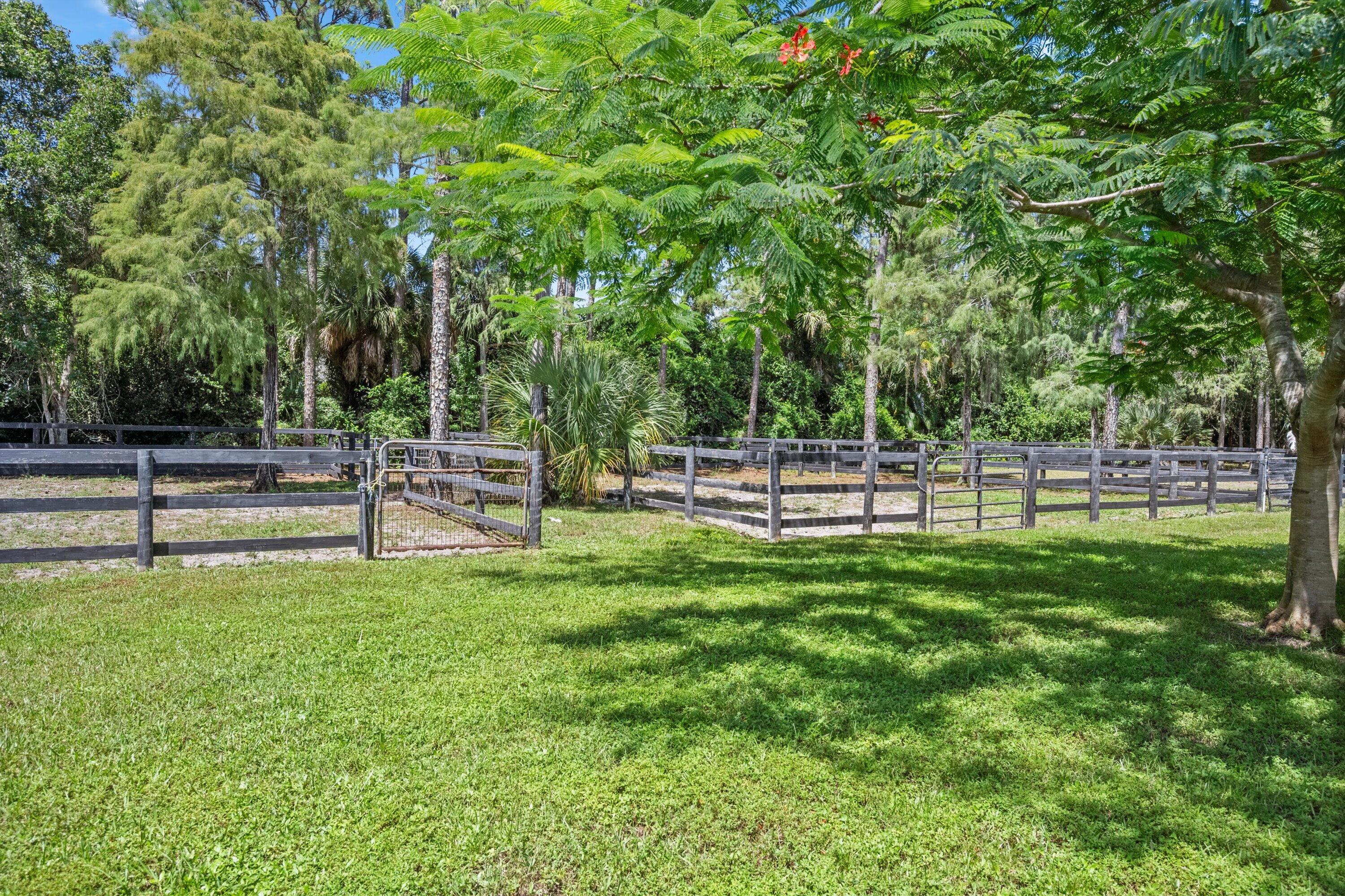  2558 Palm Deer Drive - 物件實景