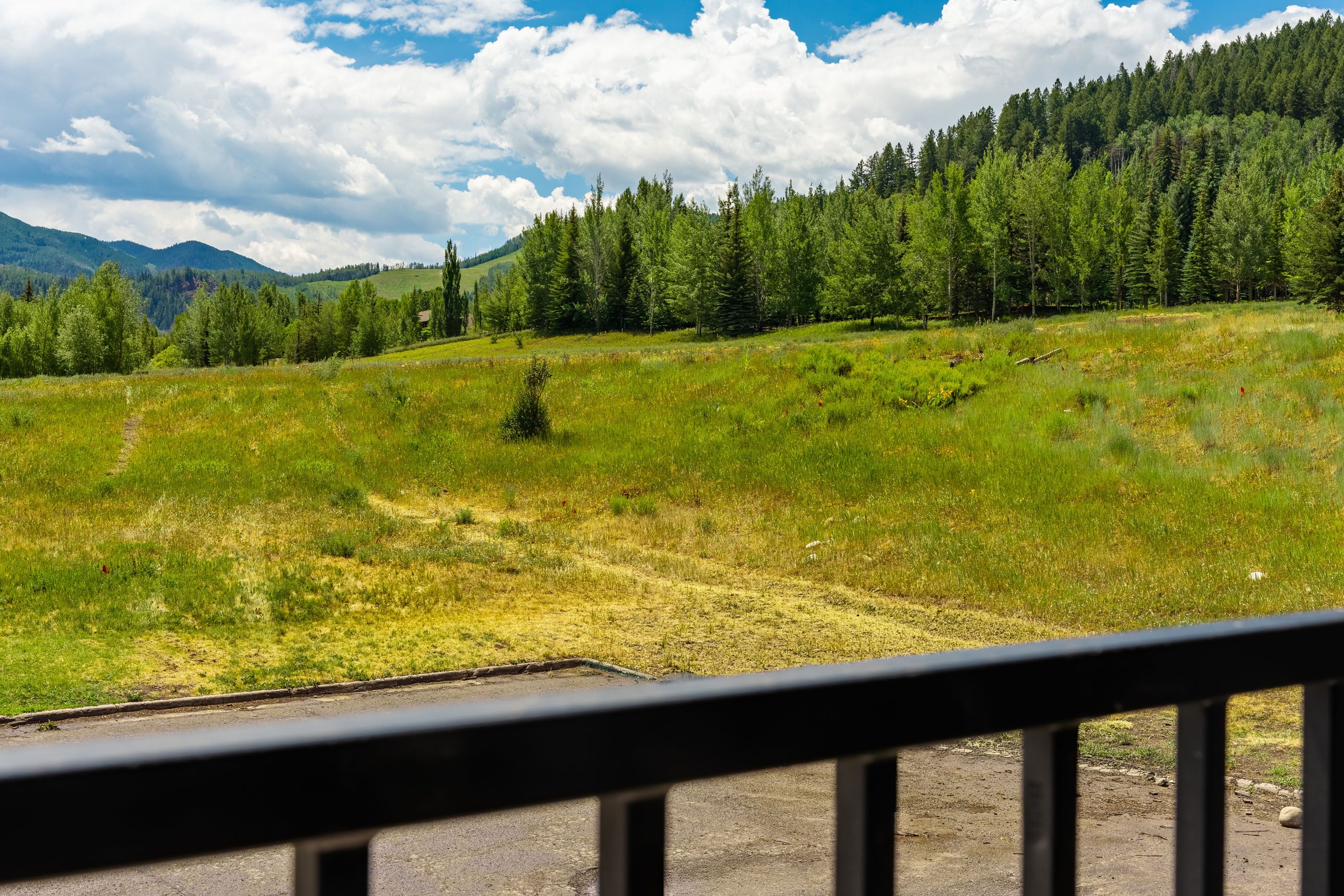 Inn at Aspen Condominium - 物件實景