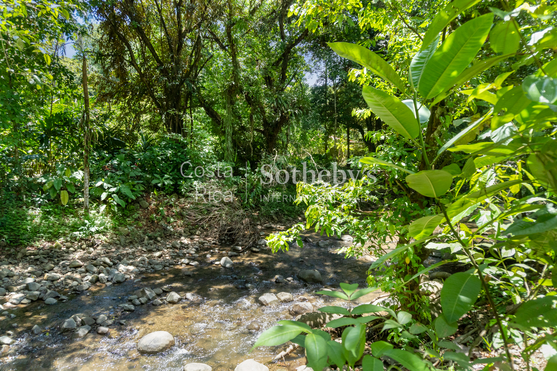  THE EMERALD SANCTUARY - PRIVATE JUNGLE VILLA WITH POOL IN OJOCHAL - 物件實景