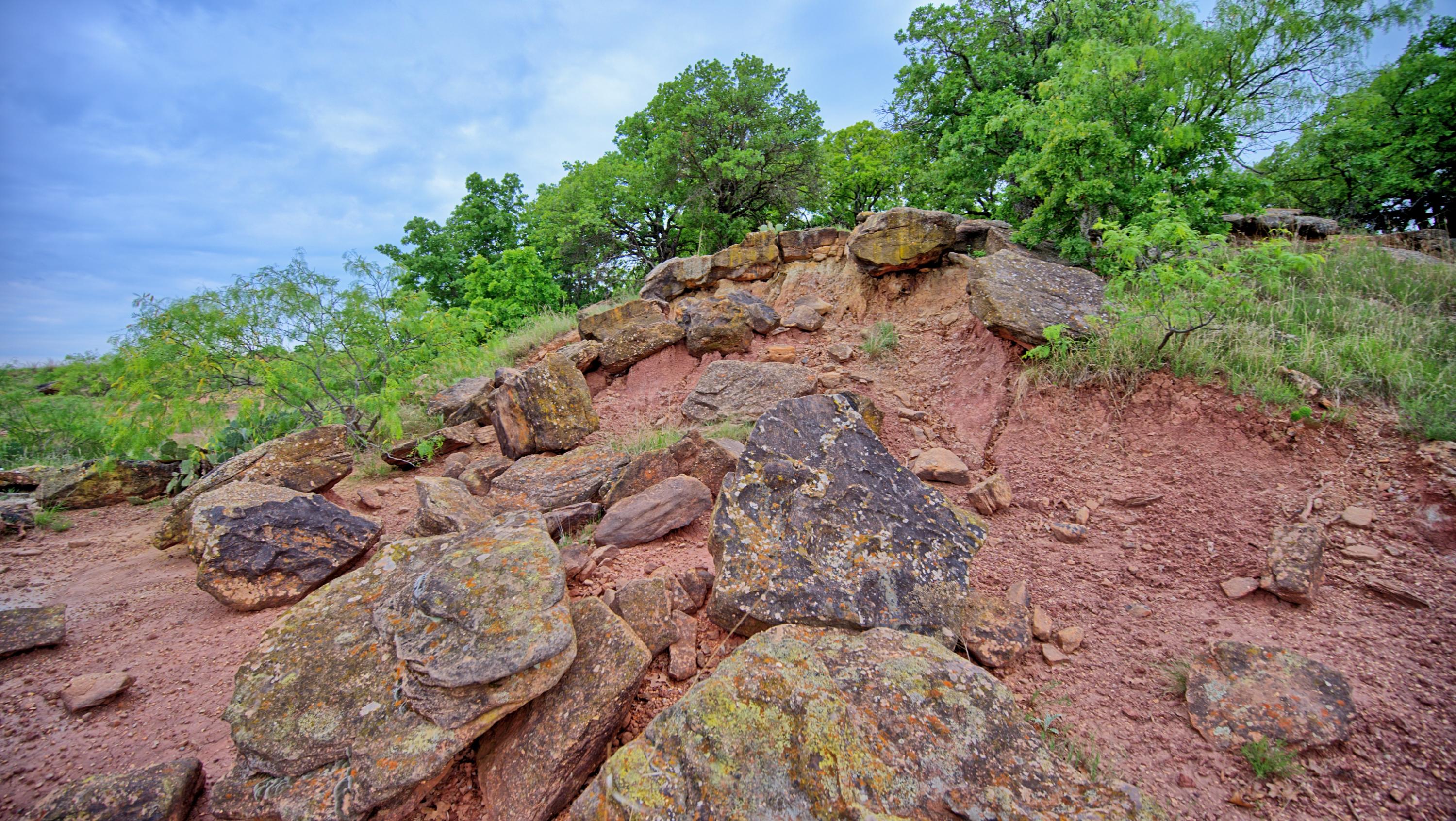  95 Acres in Clay County - 物件實景