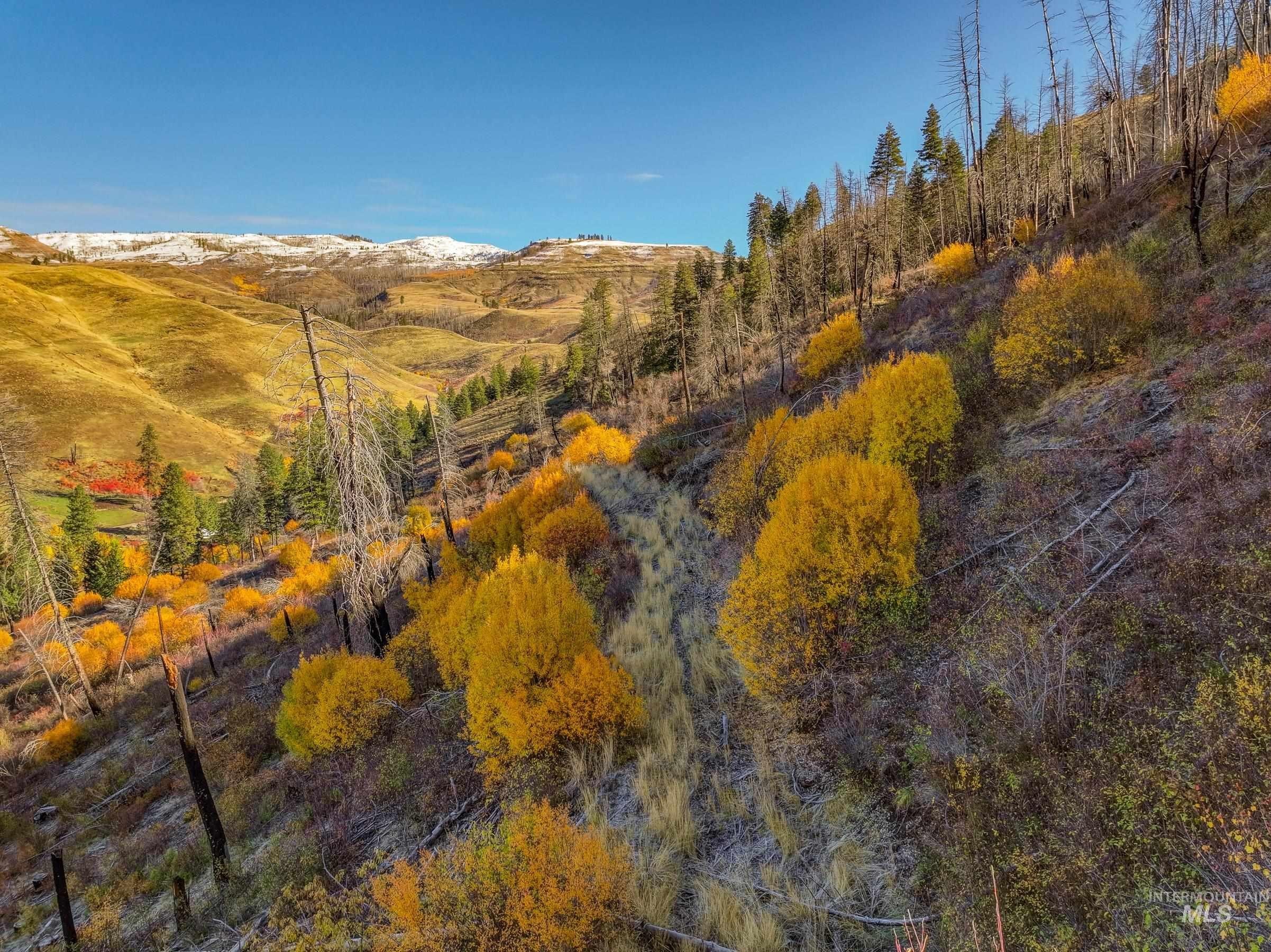 Council, Idaho, 83612, United States, ,Residential,For Sale,1975334