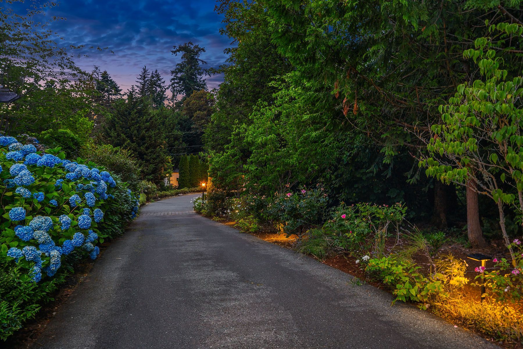  12022 NE 97th Street, Kirkland, WA 98033 - 物件實景