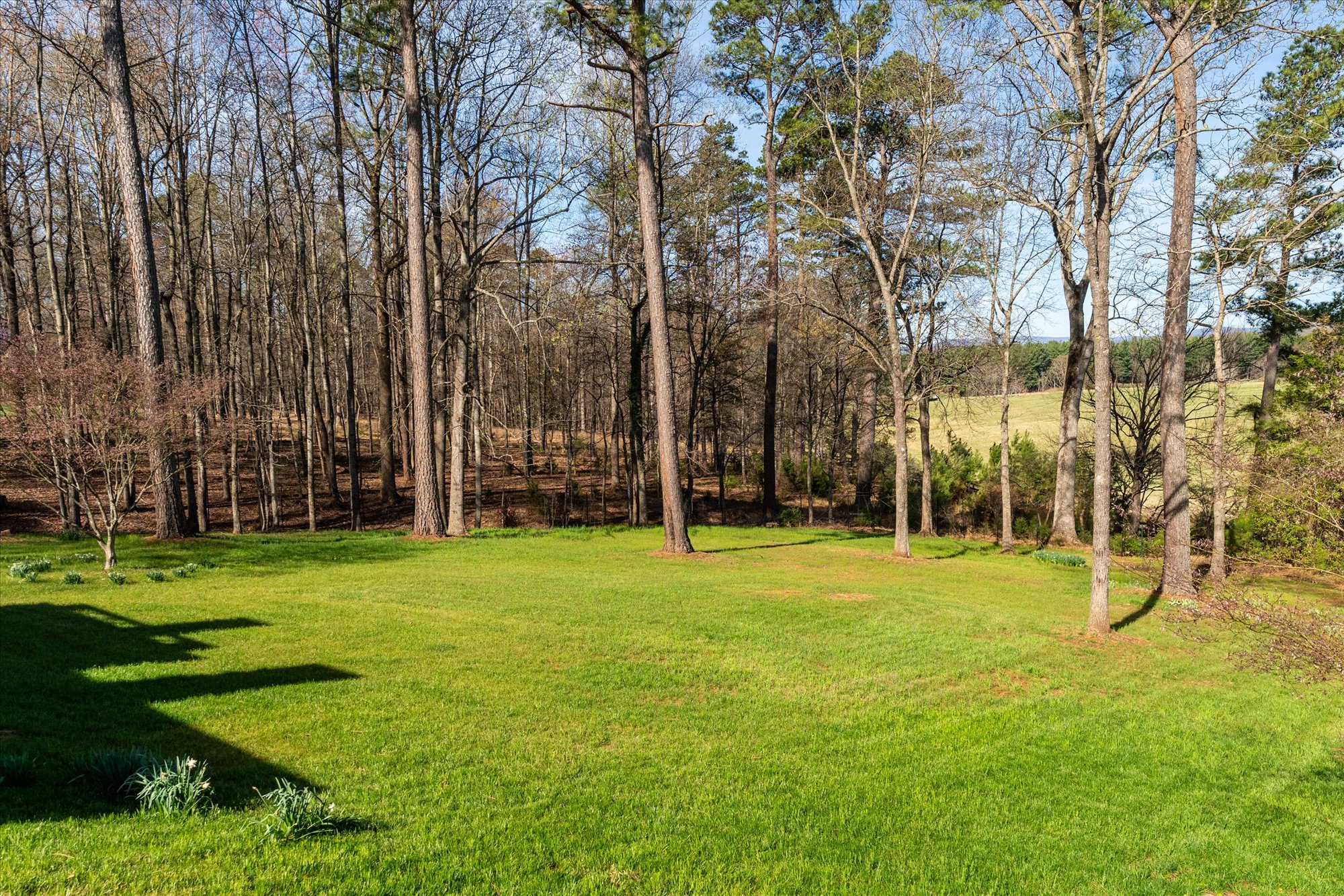  1480 Garth Gate Ln - 物件實景