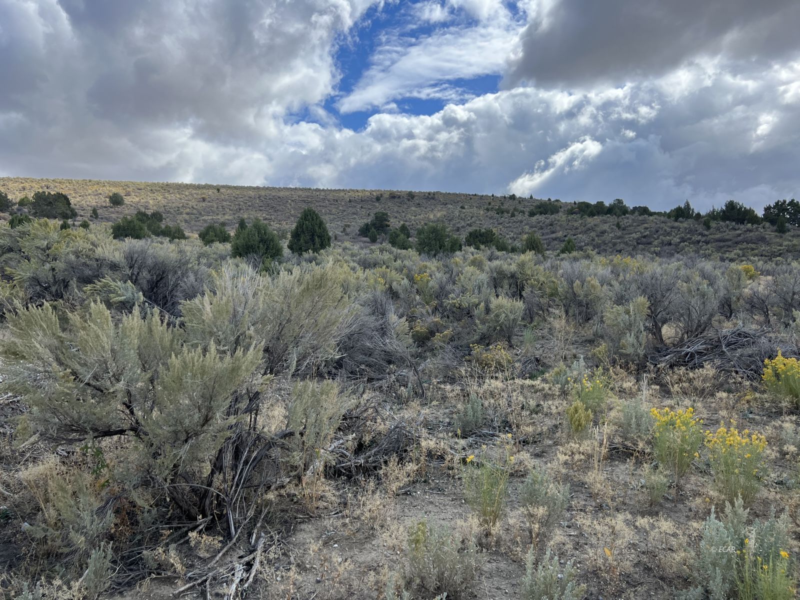 Elko, Nevada, 89801, United States, ,Land,For Sale,1925378