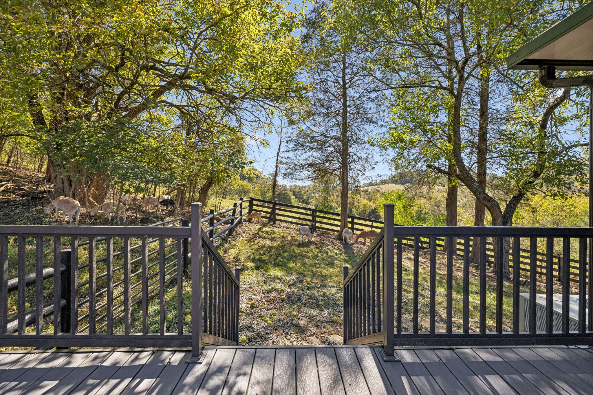  2846 Fuller Hollow Rd, Cornersville, TN, 37047 - 物件實景
