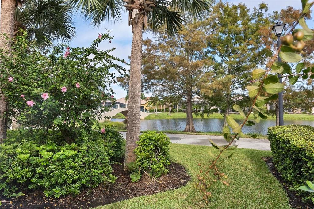 Venice, Florida, 34293, United States, 3 Bedrooms Bedrooms, ,3 BathroomsBathrooms,Residential,For Sale,1691726