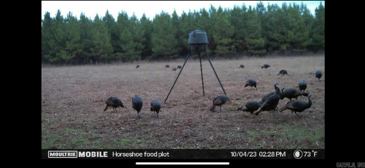 Judsonia, Arkansas, 72081, United States, ,Land,For Sale,1978553