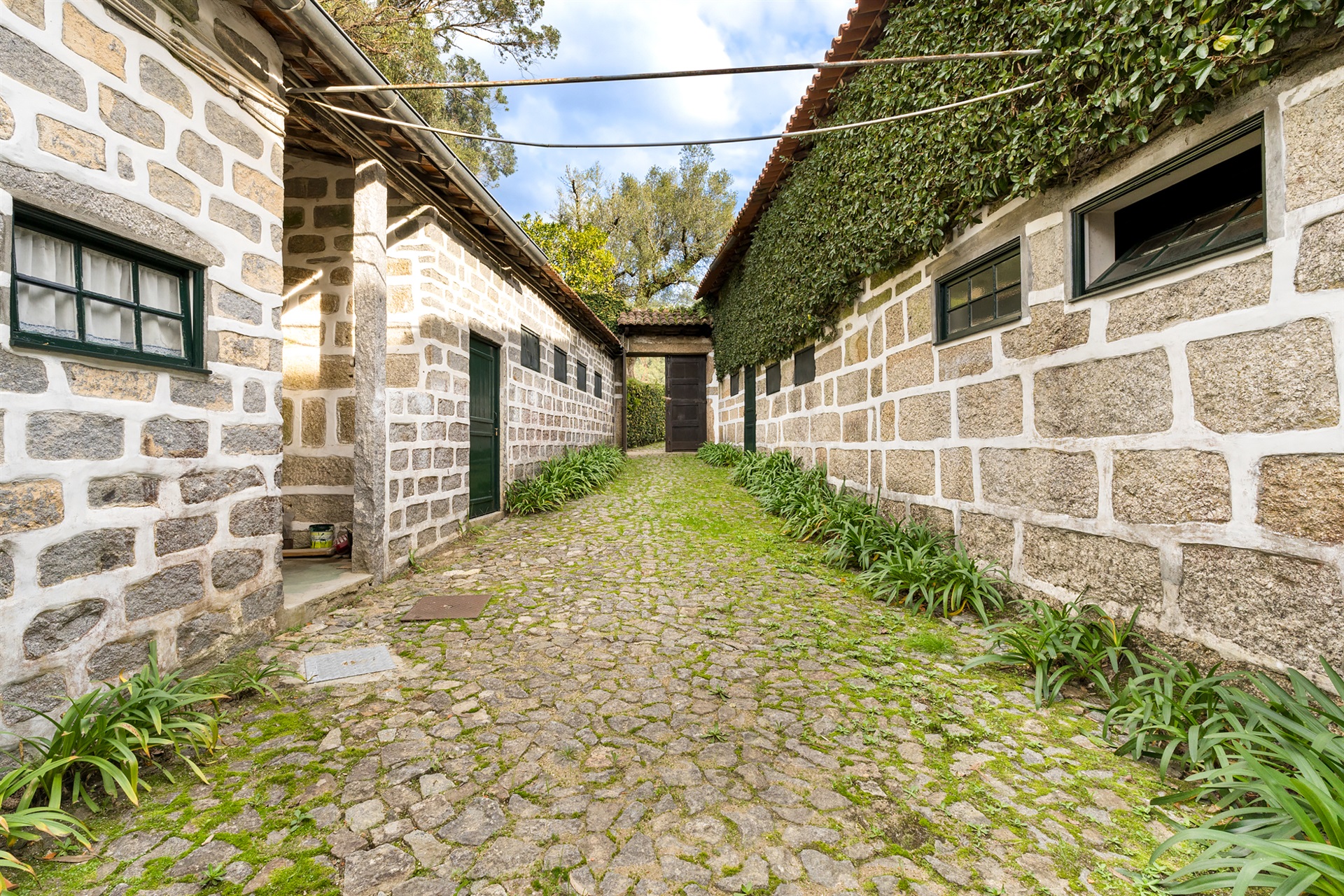  Farm, 6 bedrooms, for Sale - 物件實景
