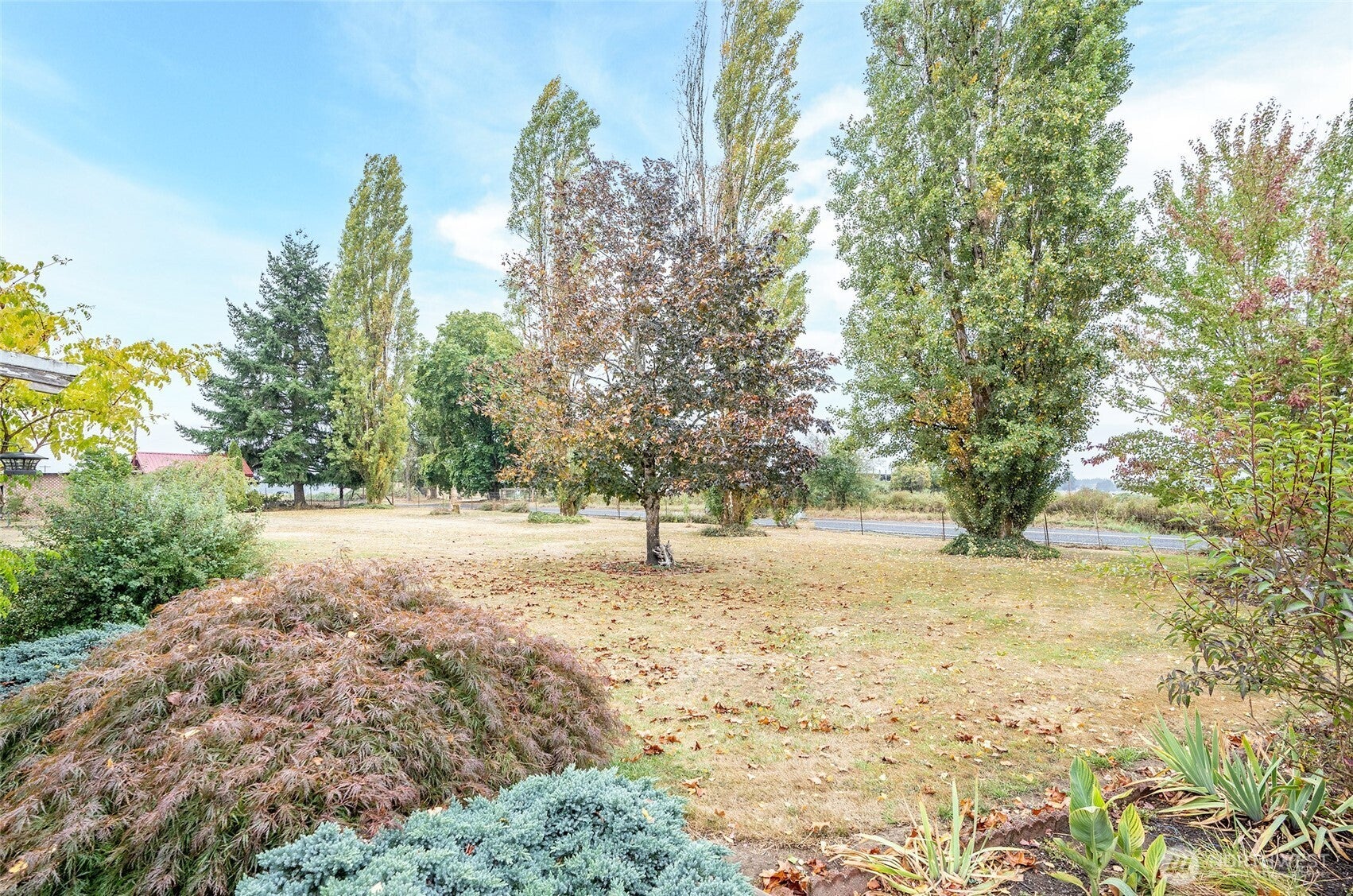 Toledo, Washington, 98591, United States, 3 Bedrooms Bedrooms, ,Residential,For Sale,1976554