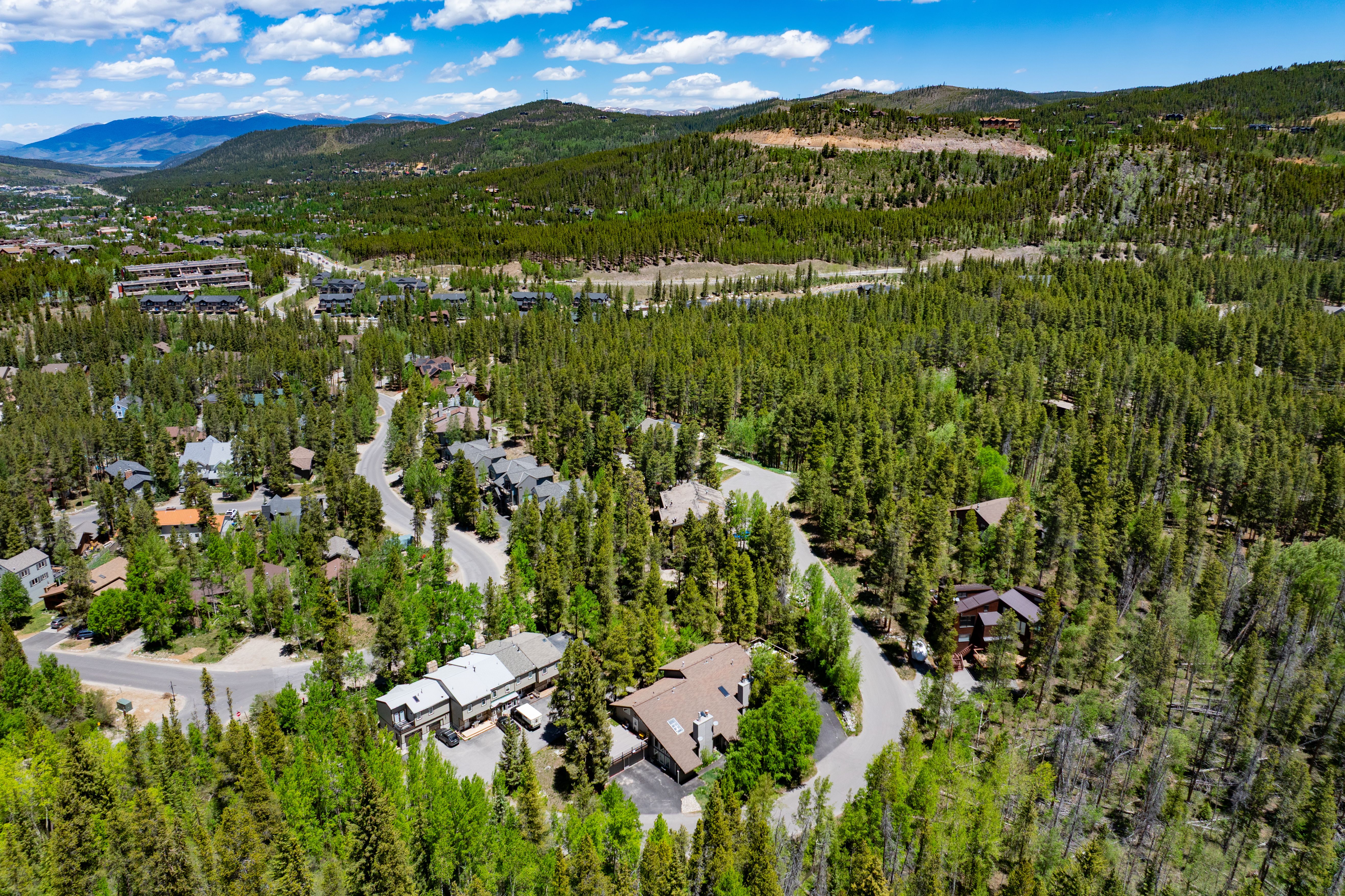  87 Flintstone Lane, Breckenridge, CO, 80424 - 物件實景