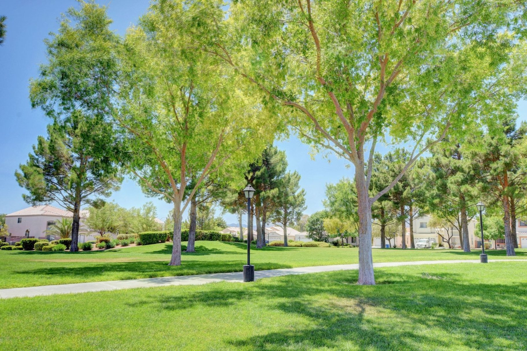  New to Market - 物件實景