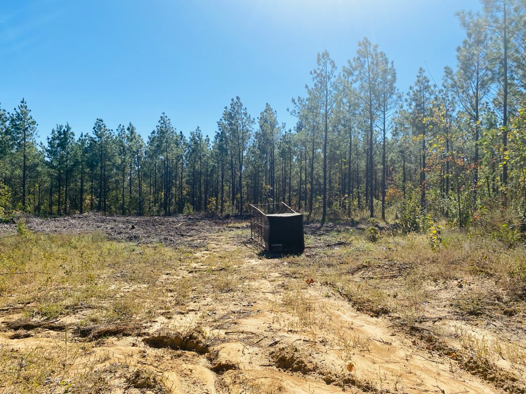 Mena, Arkansas, 71953, United States, ,Land,For Sale,1973758