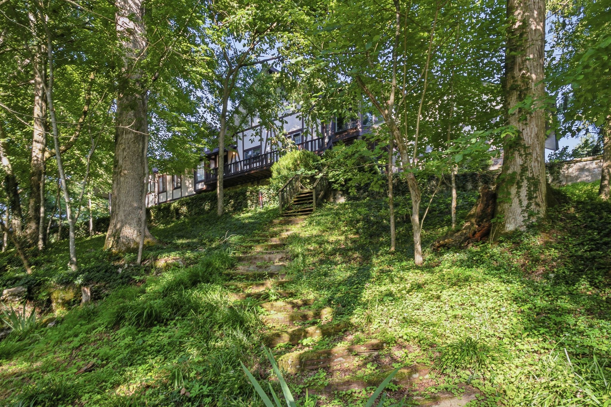  305 Beech Street - 物件實景