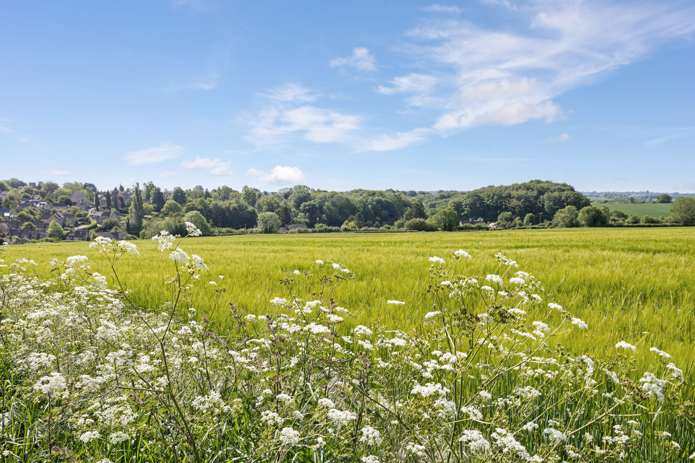 A substantial Oxfordshire farmhouse with over 9,200 sq ft of accommodation and 4 - 物件實景