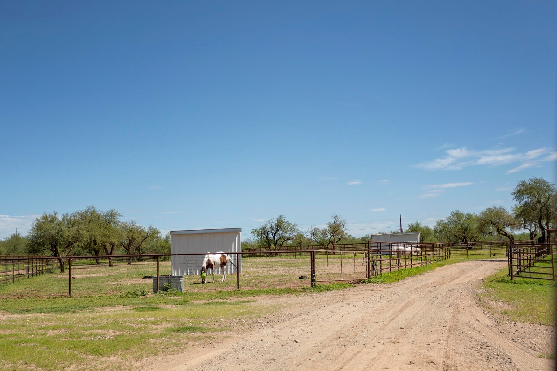  3155 W Elephant Head Road¦Amado, AZ - 物件實景