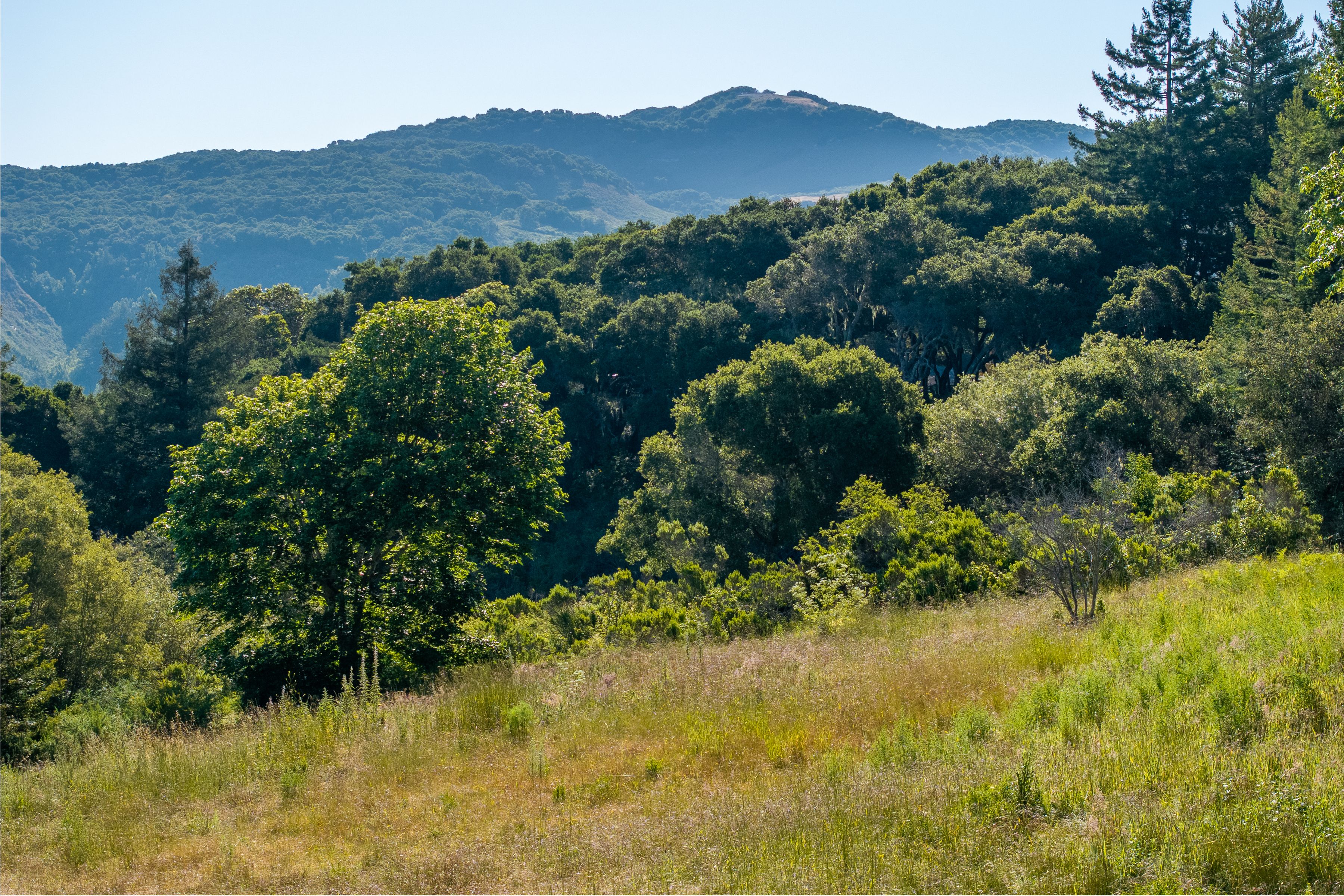  15 Potrero Trail (Lot 188) - 物件實景