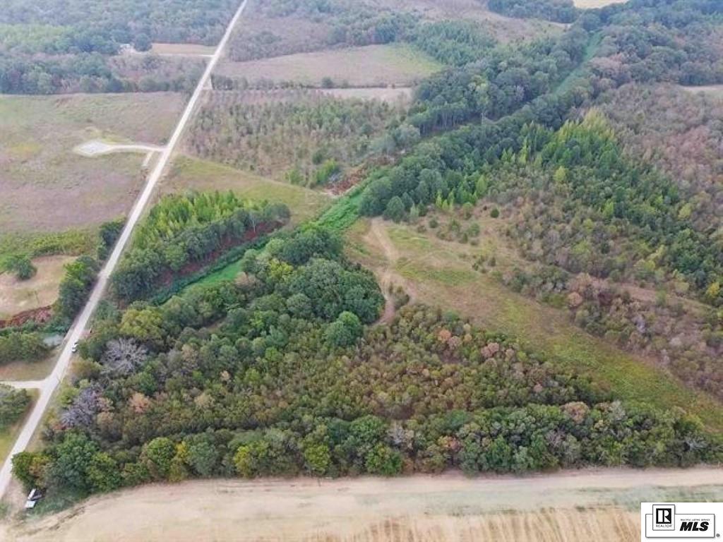 593 FORTENBERRY ROAD, Rayville, Louisiana, 71269, United States, ,Land,For Sale,593 FORTENBERRY ROAD,1683237