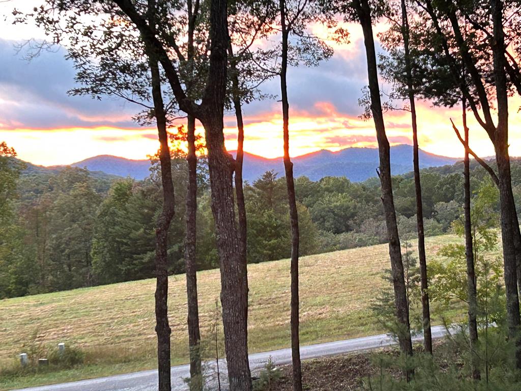 Blue Ridge, Georgia, 30513, United States, 4 Bedrooms Bedrooms, ,3 BathroomsBathrooms,Residential,For Sale,1876704