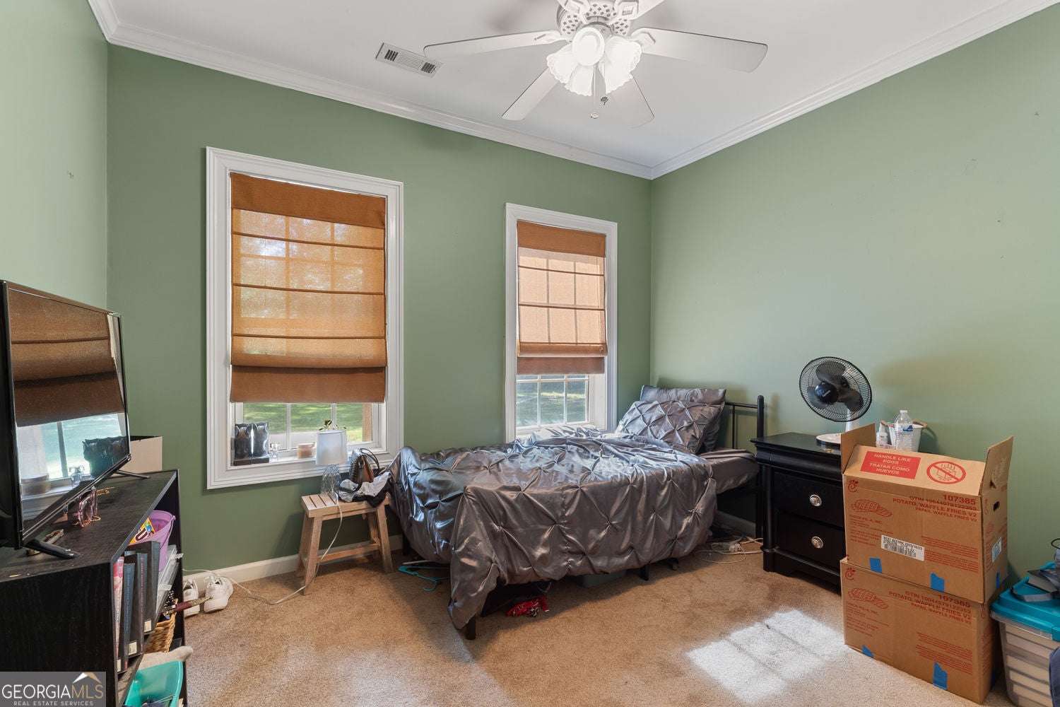 Brooks, Georgia, 30205, United States, 5 Bedrooms Bedrooms, ,5 BathroomsBathrooms,Residential,For Sale,1858968