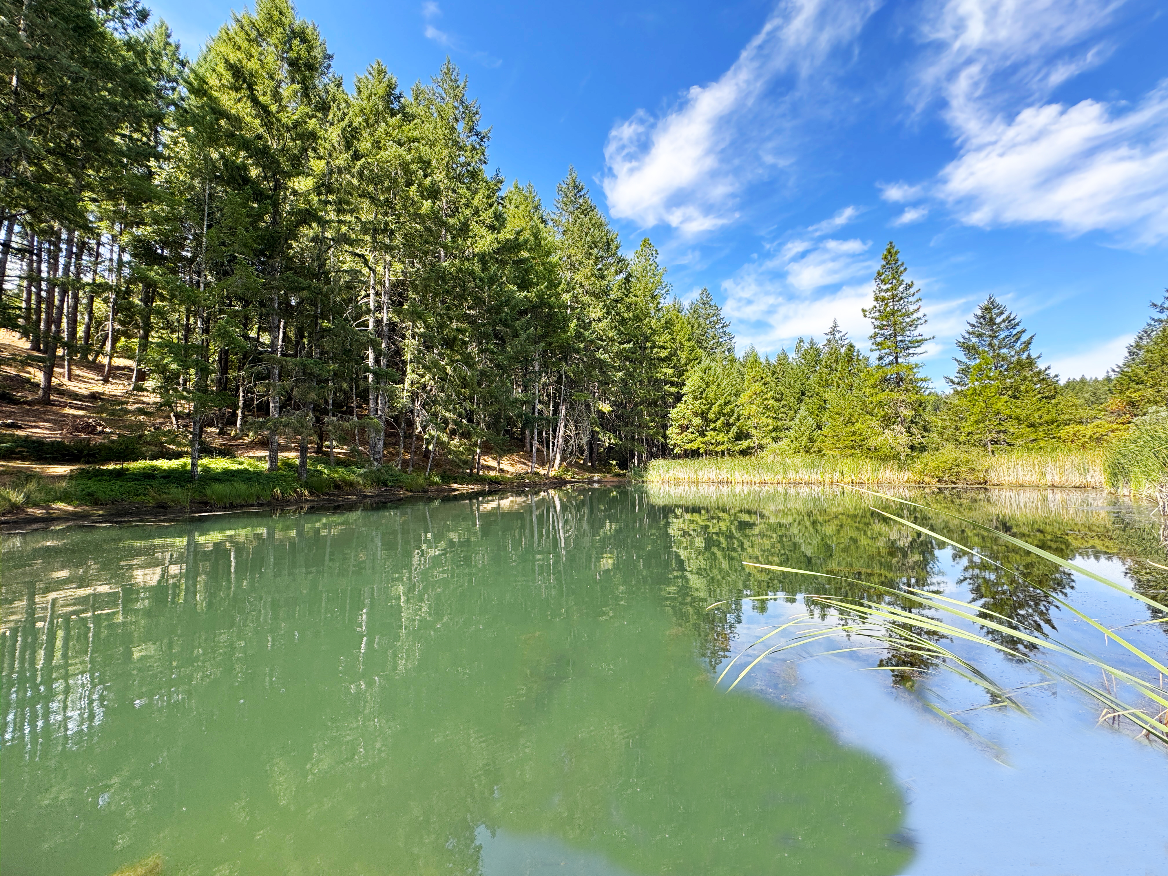 Willits, California, 95490, United States, 2 Bedrooms Bedrooms, ,2 BathroomsBathrooms,Residential,For Sale,1943077