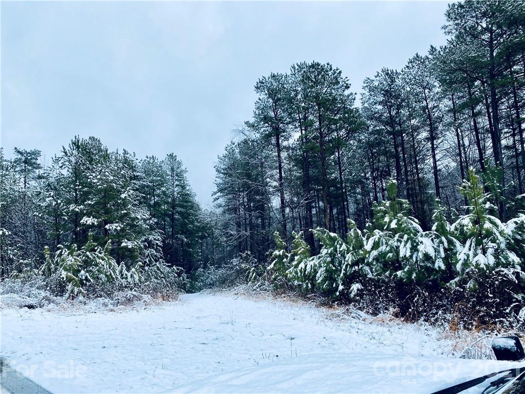 0 Bailey Off Road, Nebo, North Carolina, 28761, United States, ,Land,For Sale,0 Bailey Off Road,1437503