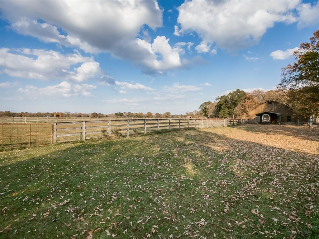 1370 Vzcr 4907, Ben Wheeler, Texas, 75754, United States, 11 Bedrooms Bedrooms, ,14 BathroomsBathrooms,Land,For Sale,1370 Vzcr 4907,1663895