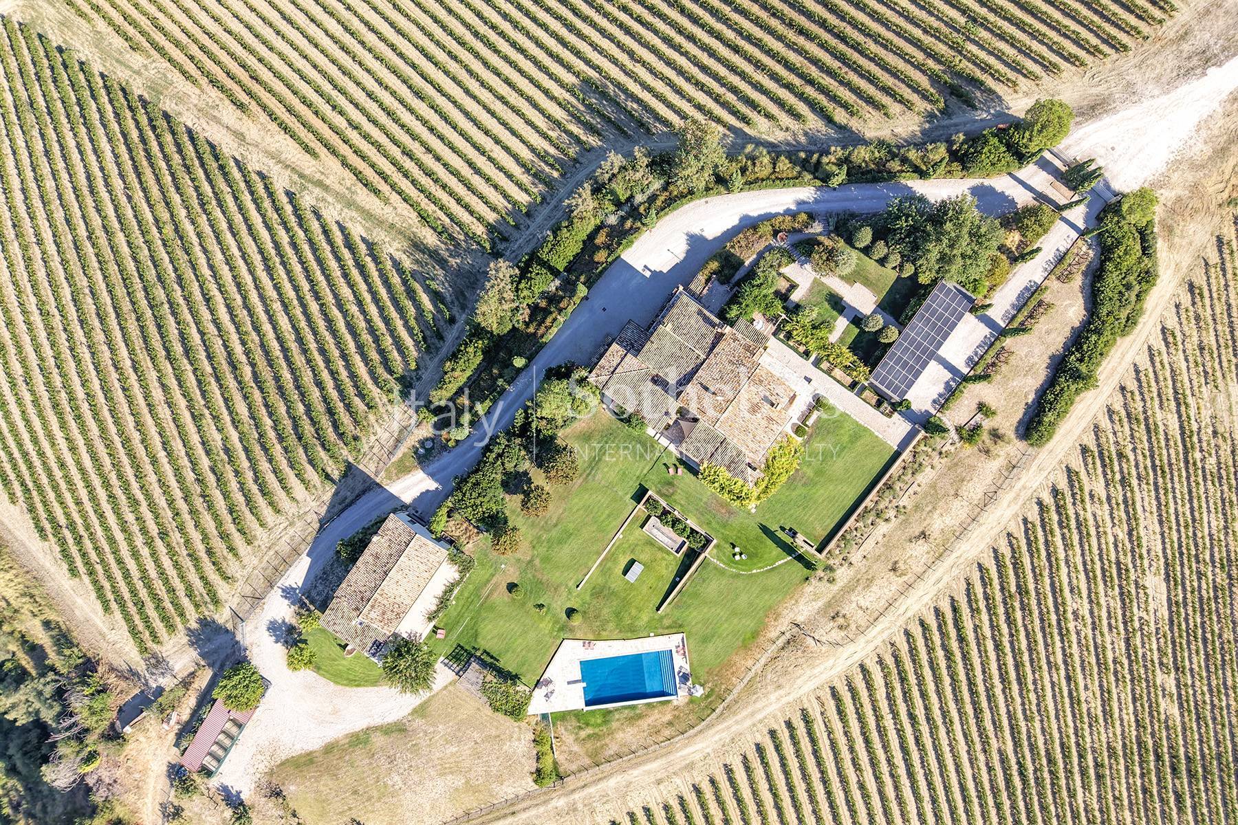  Country estate with vineyards and pool in Le Marche - 物件實景