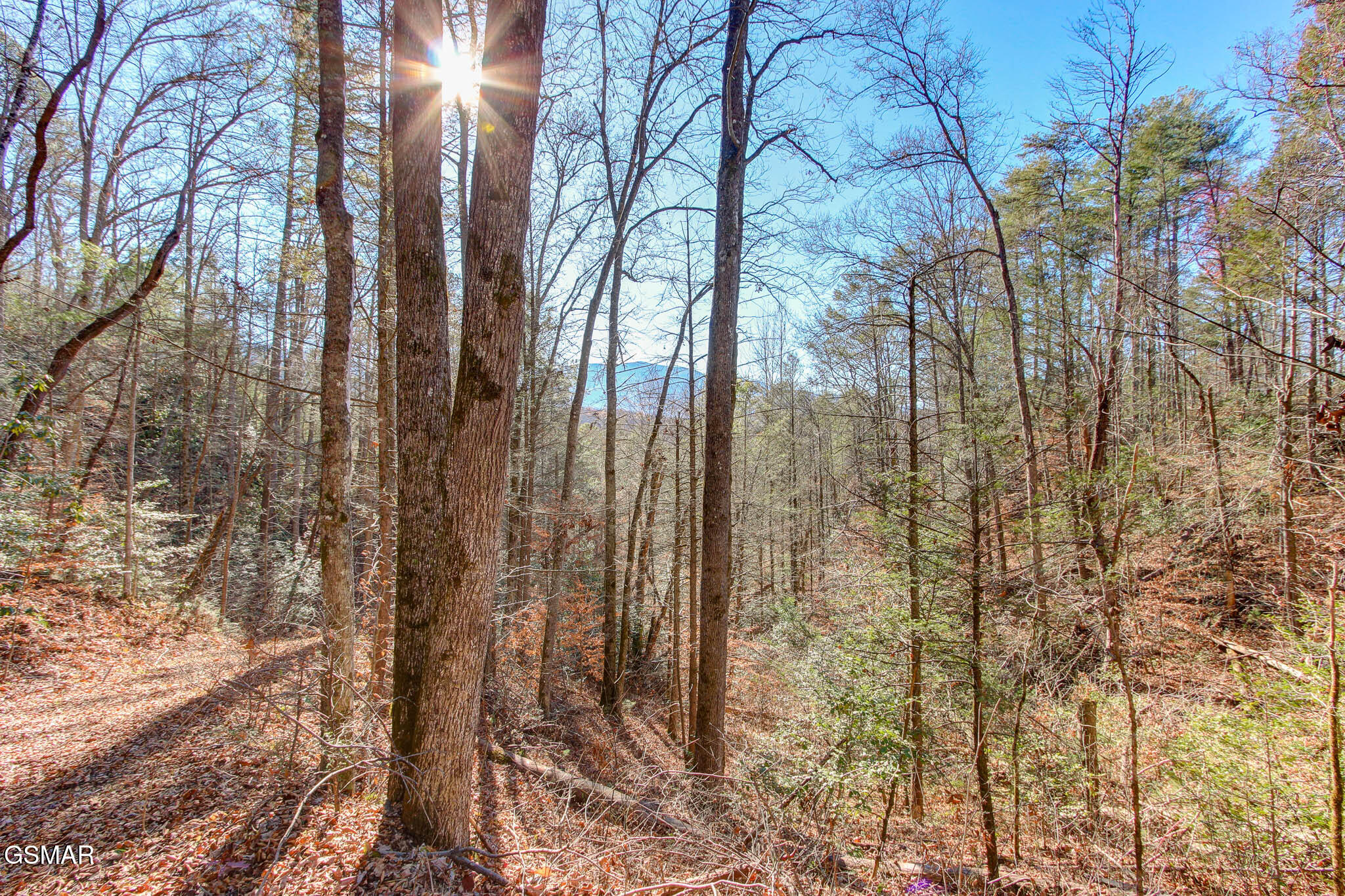 Cosby, Tennessee, 37722, United States, ,Land,For Sale,1978210