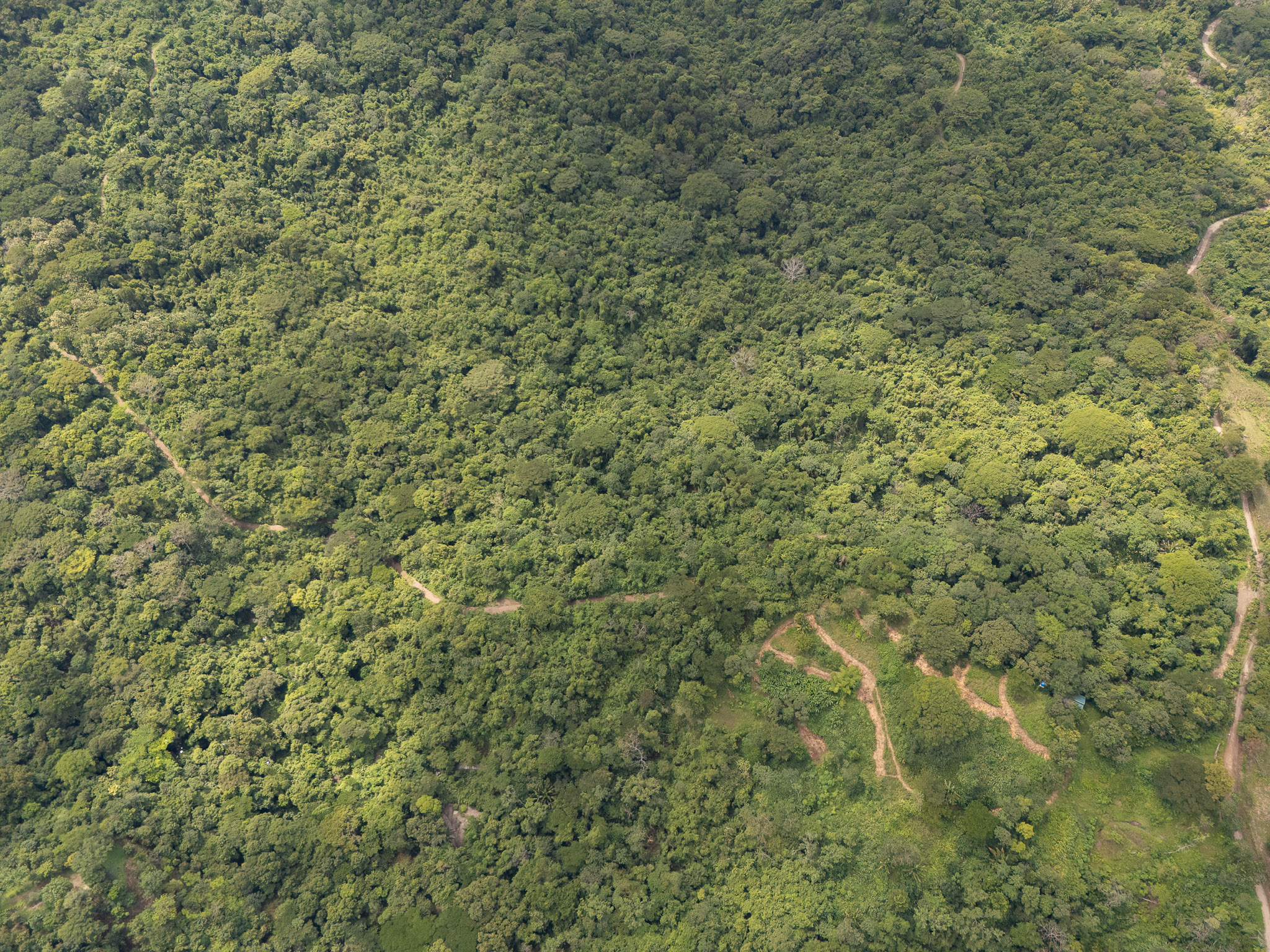 Cabuya, Puntarenas, 60111, CR, ,Land,For Sale,1999062