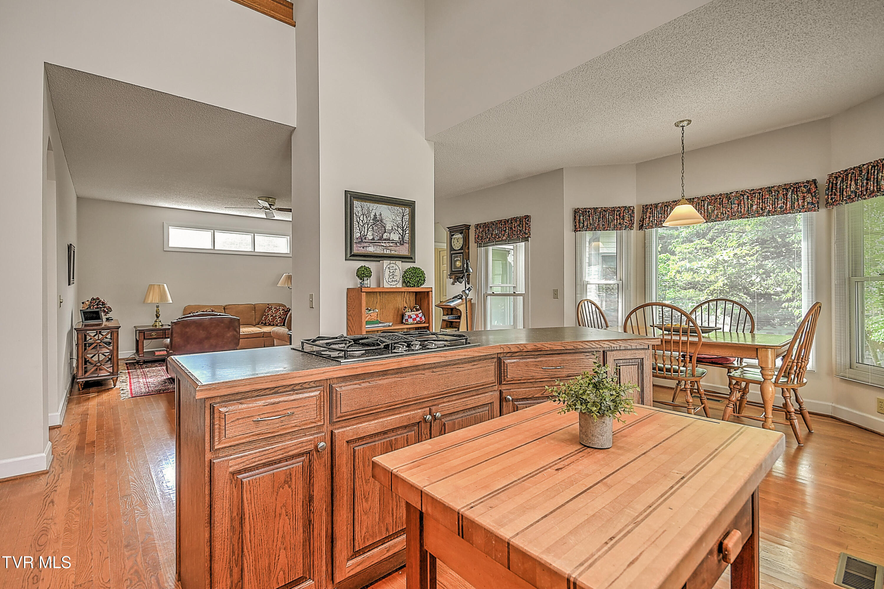 Johnson City, Tennessee, 37604, United States, 4 Bedrooms Bedrooms, ,3 BathroomsBathrooms,Residential,For Sale,1870775