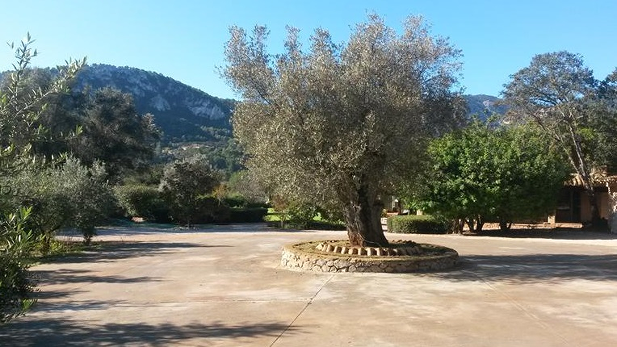  Country house with pool and mountain views in Esporlas - 物件實景