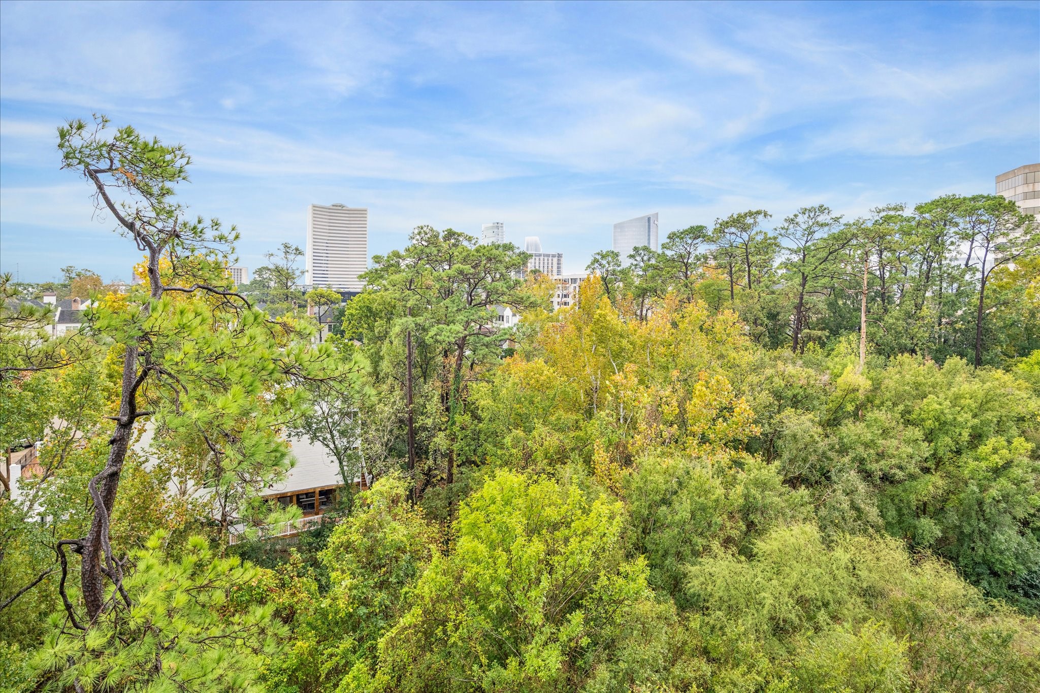  49 Briar Hollow Lane #505 - 物件實景