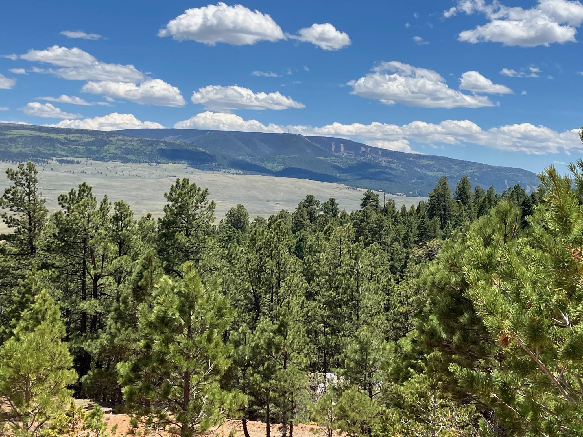 Eagle Nest, New Mexico, 87718, United States, ,Land,For Sale,1752253