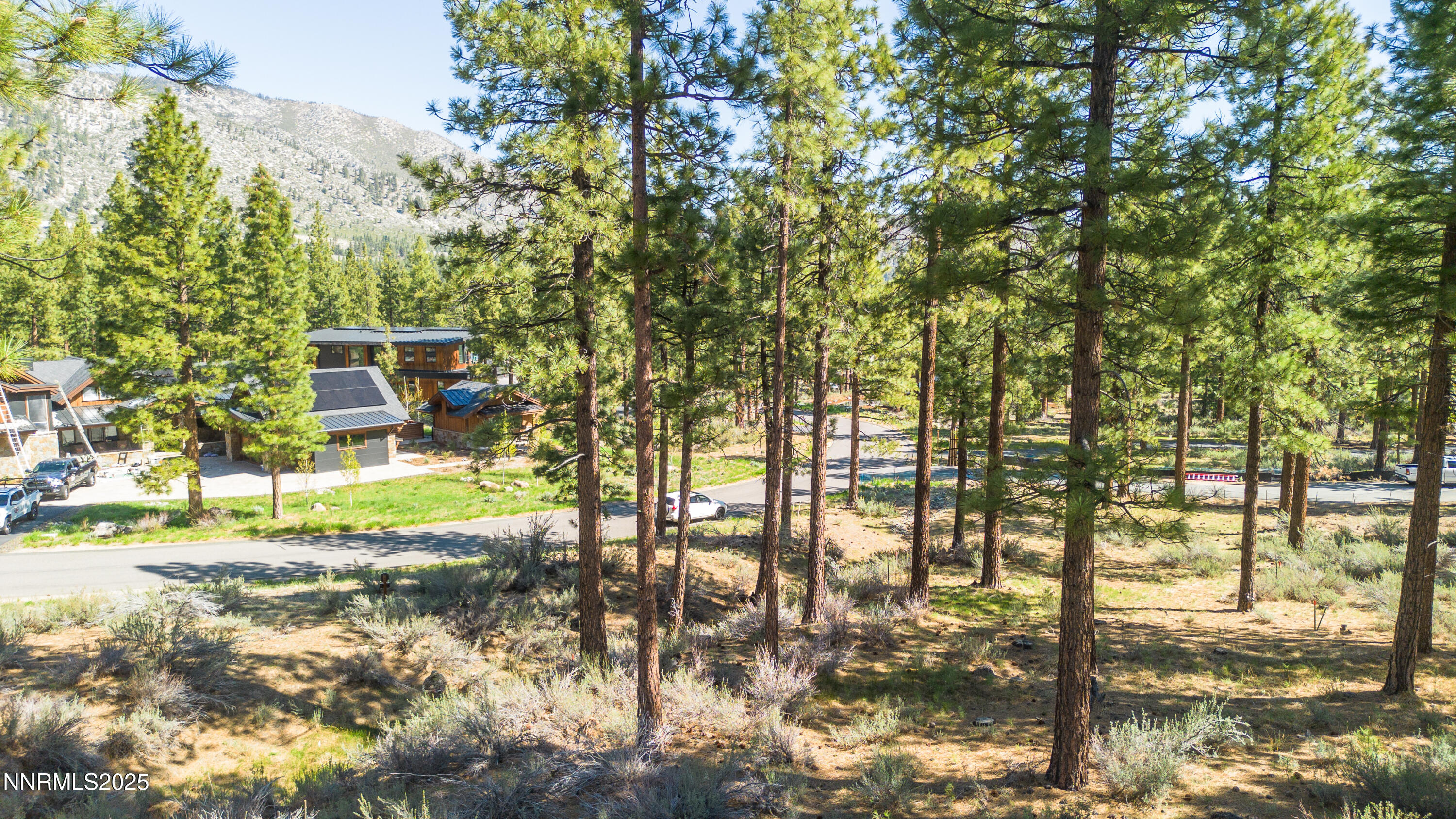 Carson City, Nevada, 89705, United States, ,Land,For Sale,1846834