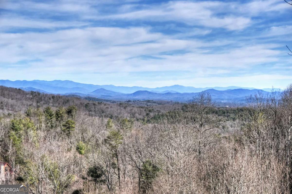 Mineral Bluff, Georgia, 30559, United States, 4 Bedrooms Bedrooms, ,4 BathroomsBathrooms,Residential,For Sale,2011407