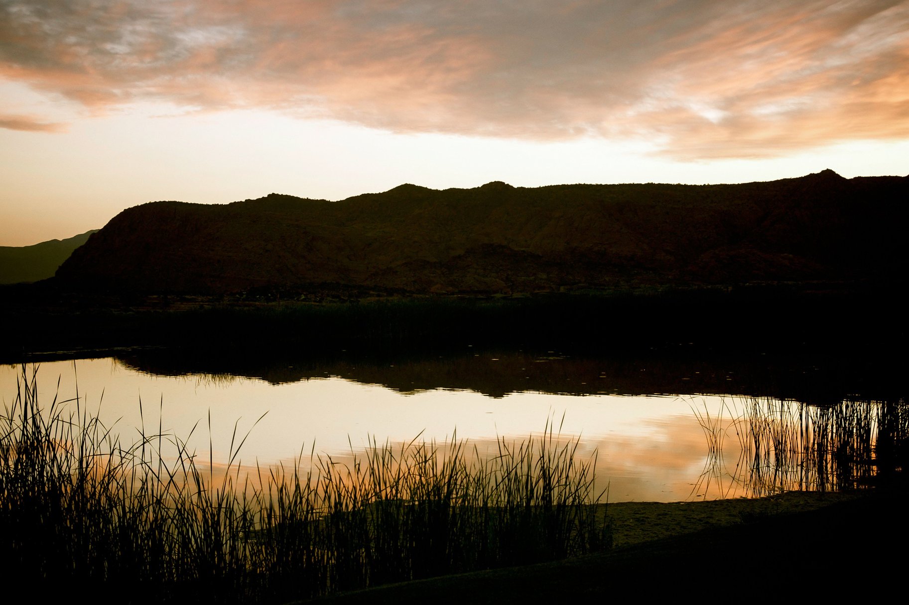  Desert Fairway Retreat with Short Term Investment Opportunity - 物件實景