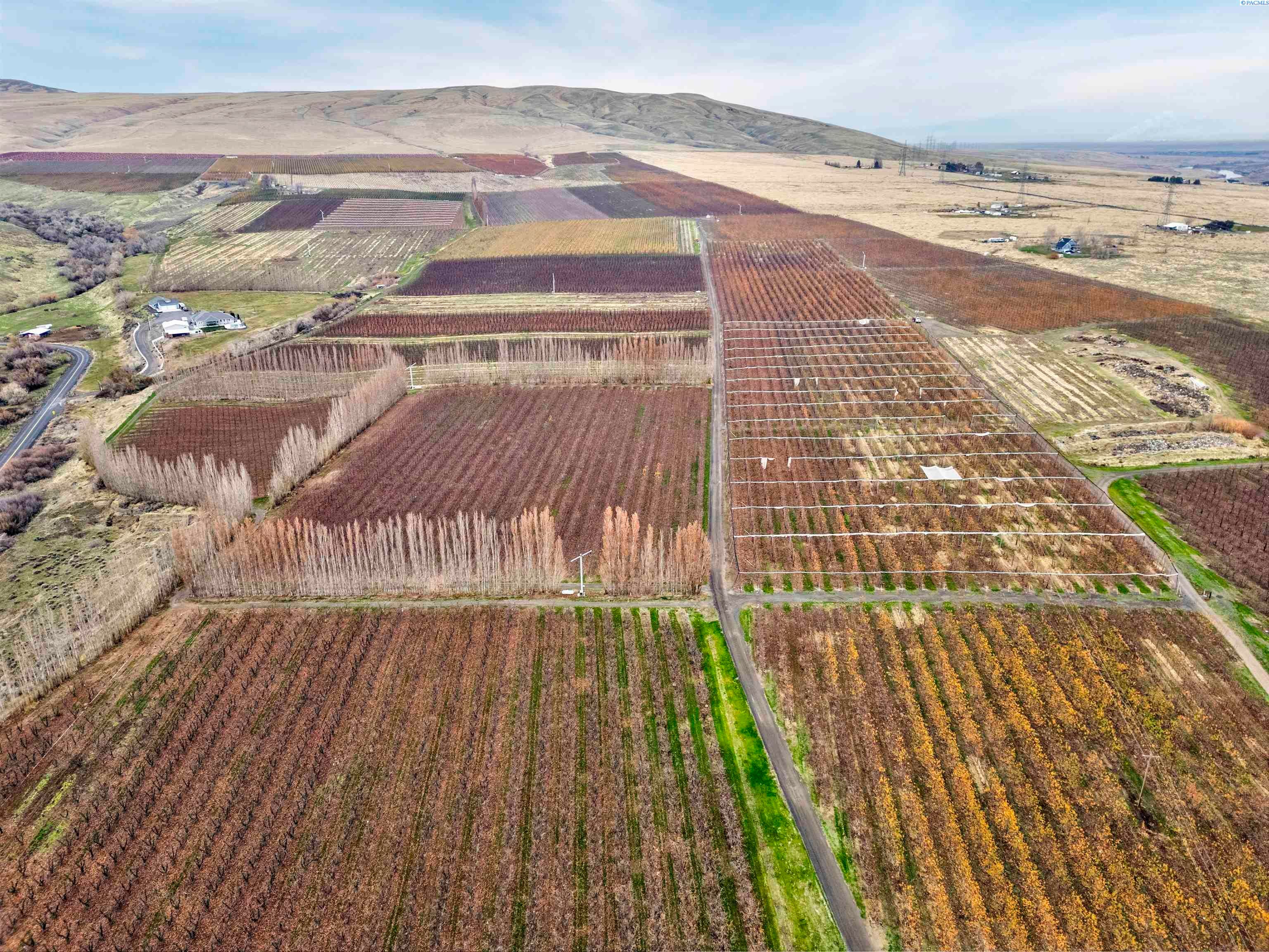 Benton City, Washington, 99320, United States, ,Residential,For Sale,1998051