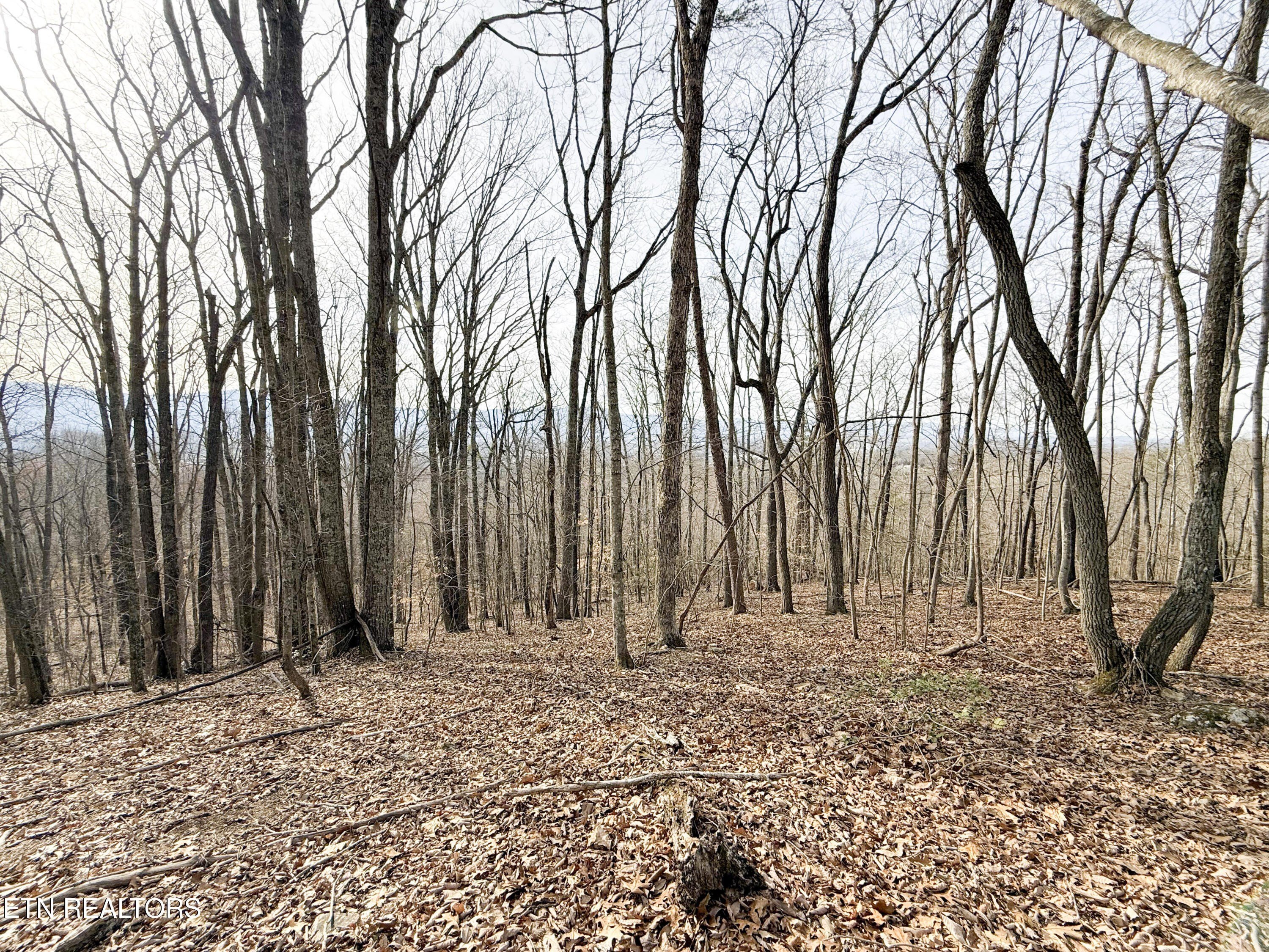 Pikeville, Tennessee, 37367, United States, ,Land,For Sale,1975616